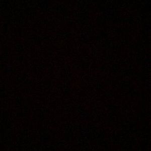 Meet your Posher, Jackson